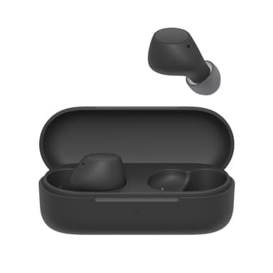 Sony WF-C510 Truly Wireless - Ecouteurs Intra-Auriculaires Bluetooth, Petits, Légers, Connexion Multipoint, Son Ambiant, IPX4, Spotify Tap, Charge Rapide, Batterie jusqu'à 22h, iOS et Android – Noir